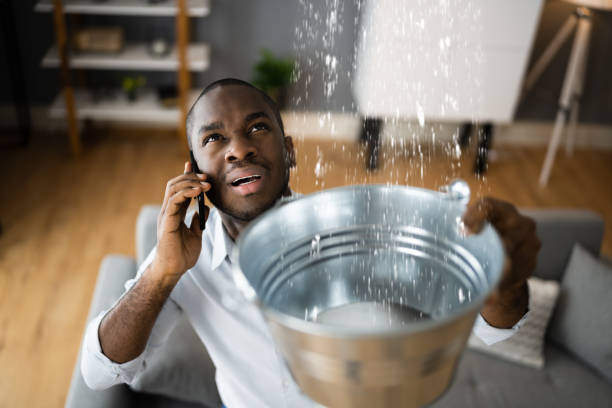 Carpet water damage restoration in Fort Polk North, LA
