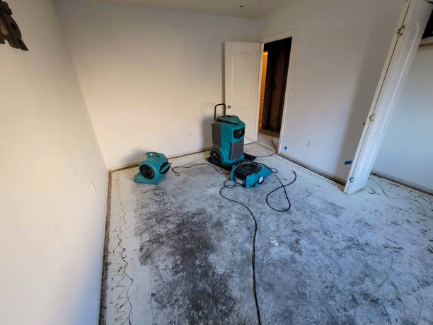 Best Water damage cleanup near me  in Fort Polk North, LA