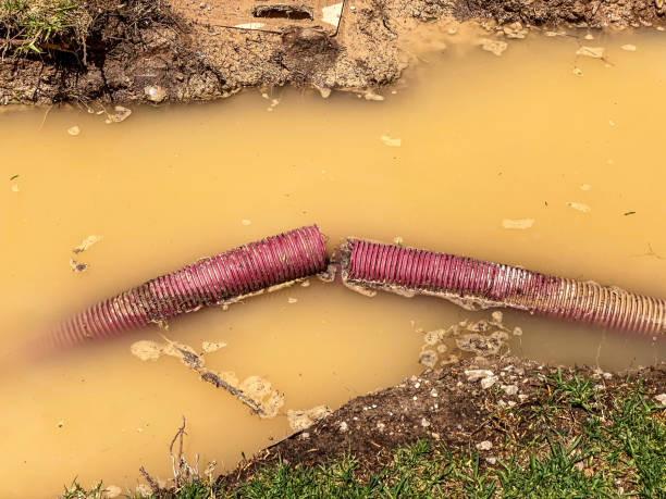 Reliable Fort Polk North, LA Water damage restoration Solutions